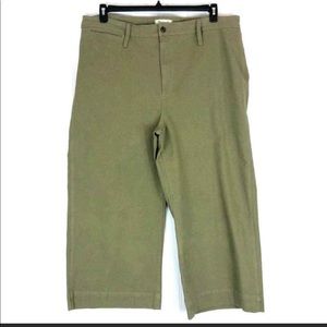 Madewell 36 (20 22) pants tan Emmett Crop Wide Leg NEW